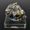 Pyrite et galène - Mine Borieva, Madan, Bulgarie