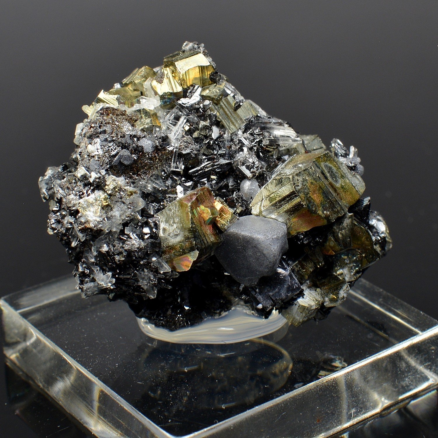 Pyrite and galena - Borieva Mine, Madan, Bulgaria