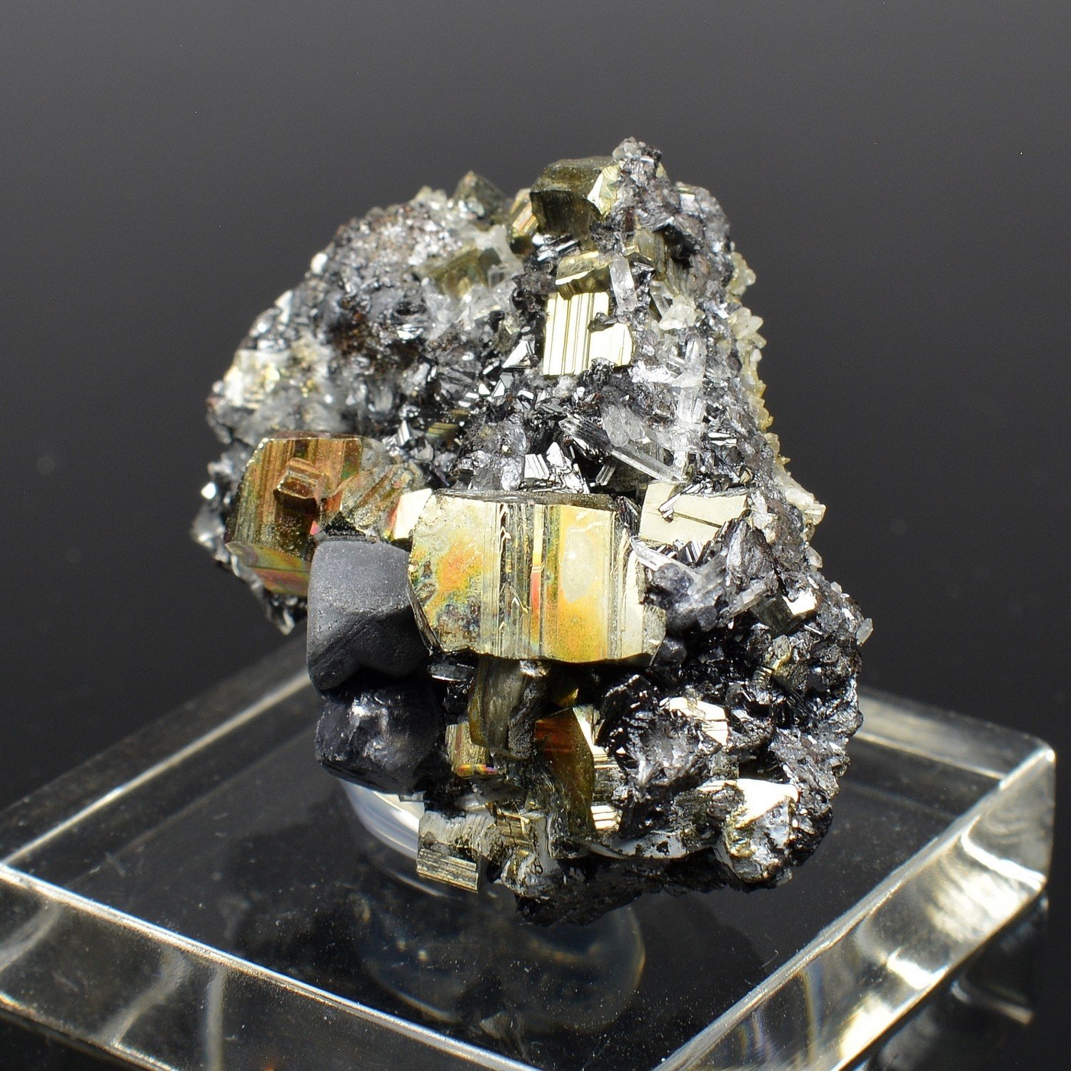 Pyrite and galena - Borieva Mine, Madan, Bulgaria