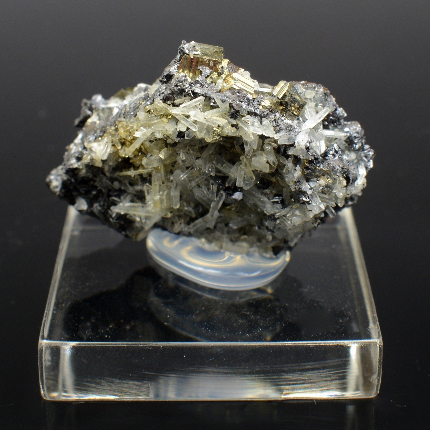 Pyrite et galène - Mine Borieva, Madan, Bulgarie