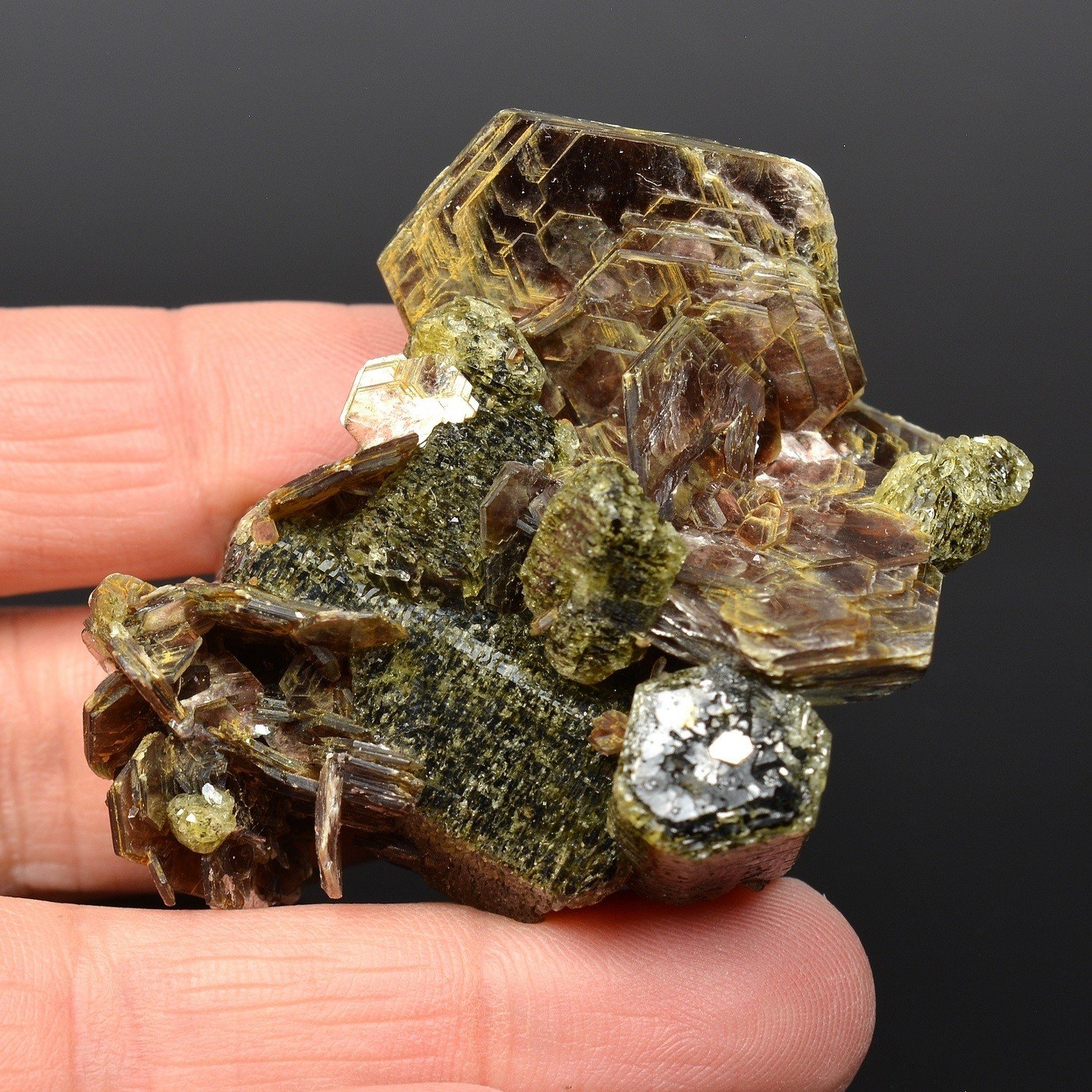Muscovite et apatite - Zé Pinto prospect, Aldeia, Conselheiro Pena, Minas Gerais, Brésil