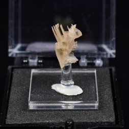Reticular cerussite – Nakhlak Mine, Isfahan Province, Iran