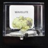 Wavellite - Mauldin, Arkansas, USA