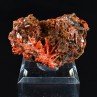Crocoite - Red Lead Mine, Tasmania, Australia Crocoite - Red Lead Mine, Tasmania, Australia