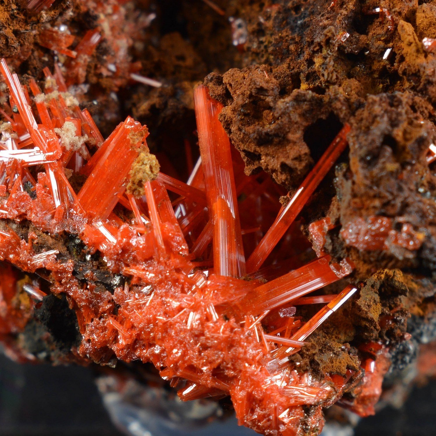 Crocoite - Red Lead Mine, Tasmania, Australia Crocoite - Red Lead Mine, Tasmania, Australia