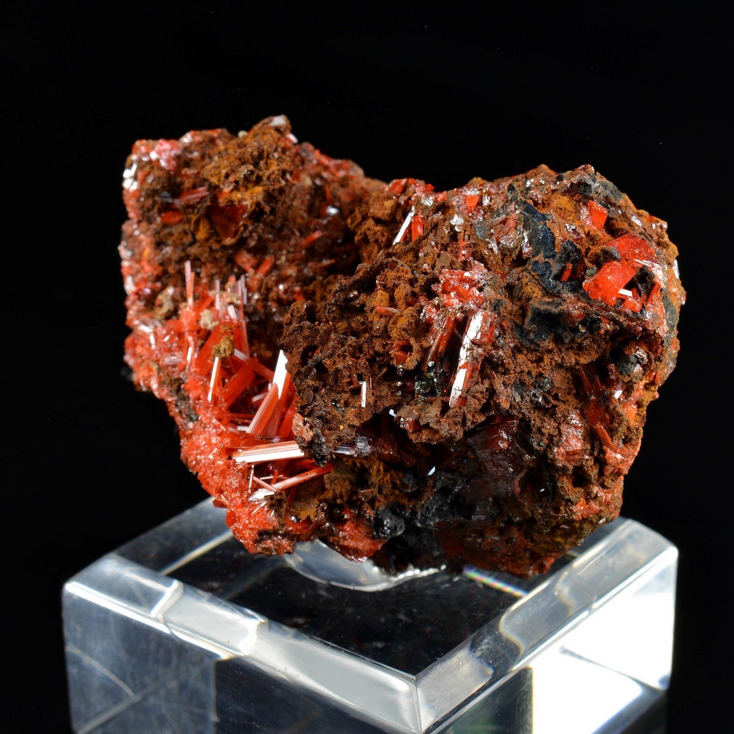 Crocoïte - Mine Red Lead, Tasmanie, Australie Crocoïte - Mine Red Lead, Tasmanie, Australie