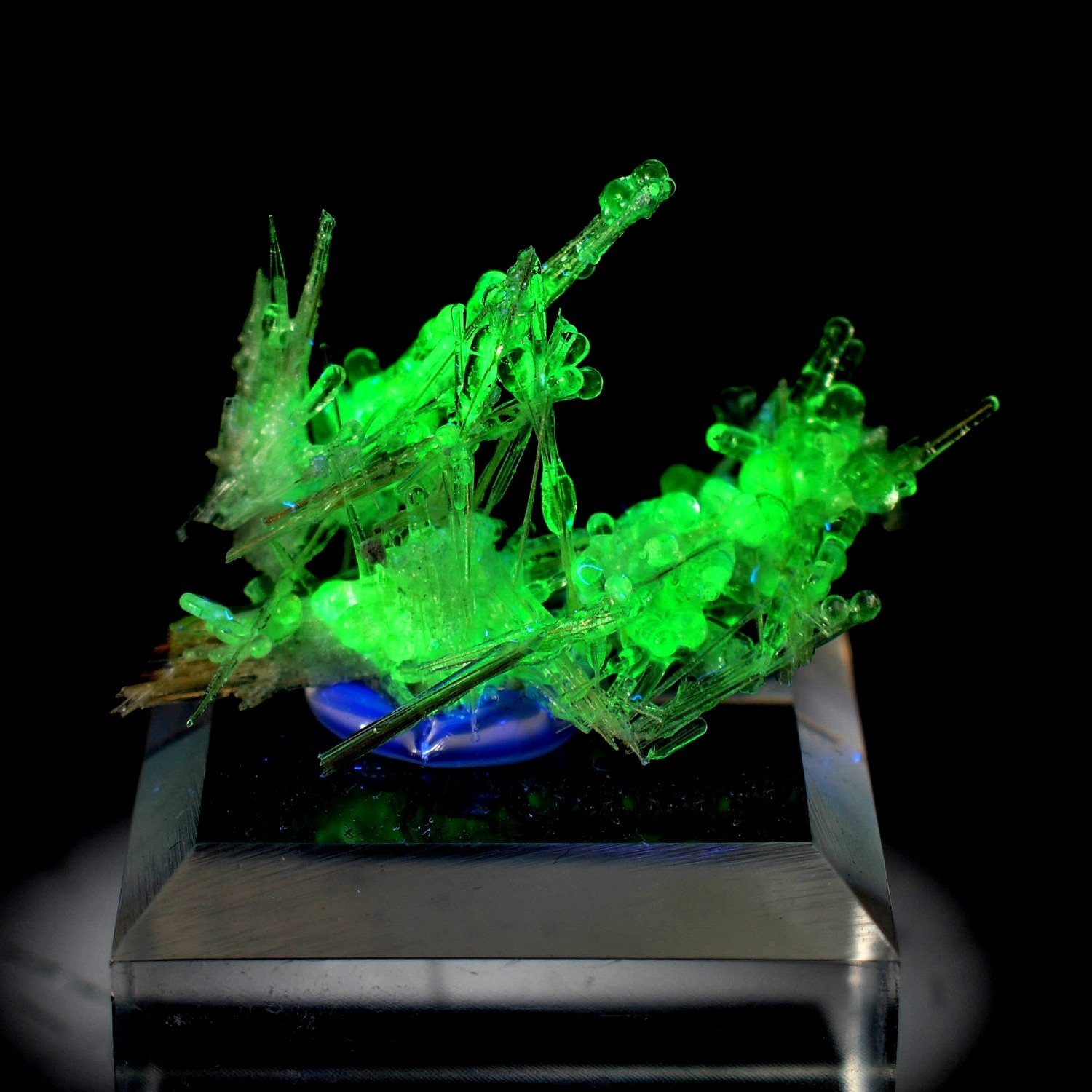 Hyalite opal on rutile - Novo Horizonte, Bahia, Brazil