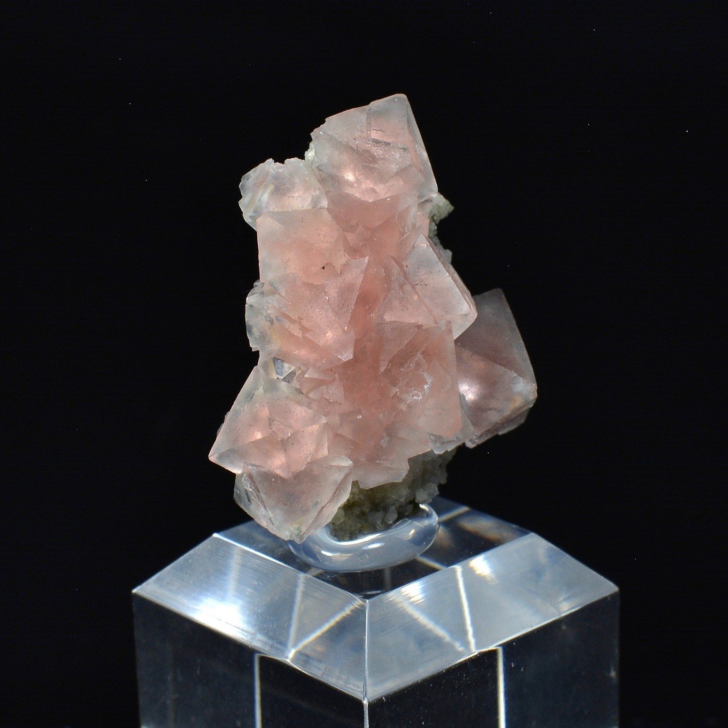 Fluorine rose - Face Sud des Droites, Massif du Mont-Blanc, France