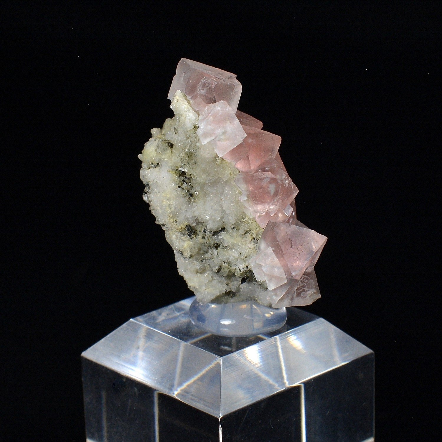 Fluorine rose - Face Sud des Droites, Massif du Mont-Blanc, France