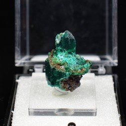 Dioptase - Brazzaville, DR Congo