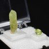 PERIDOT - DUO: cut stone and crystallised stone PERIDOT - DUO: cut stone and crystallised stone