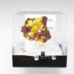 Wulfénite - Mine Erupcion, Los Lamentos, Mexique