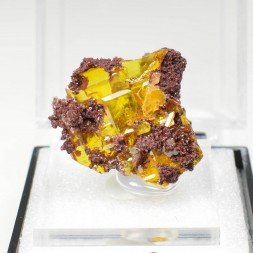 Wulfenite - Erupcion Mine, Los Lamentos, Mexico