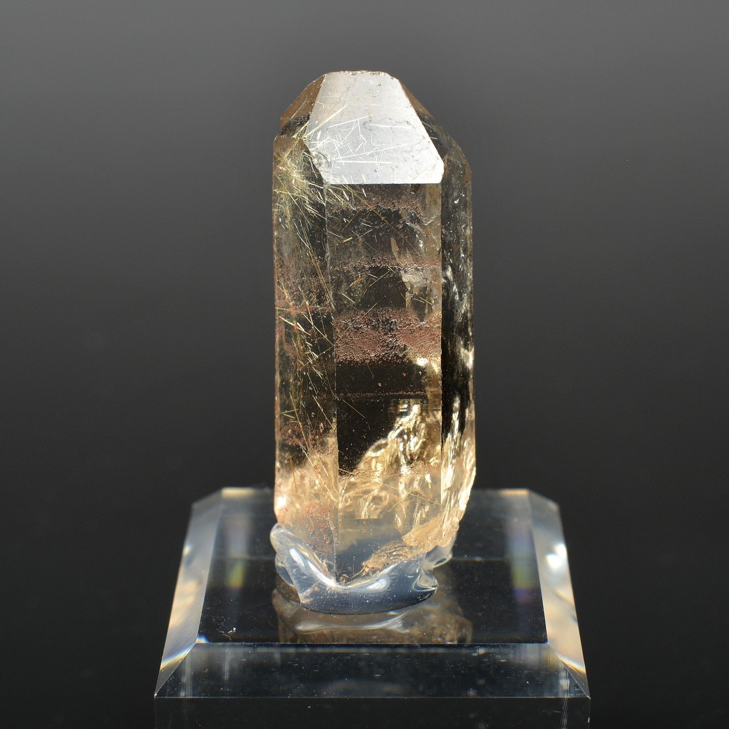 Quartz à inclusions de rutile - Novo Horizonte, Bahia, Brésil