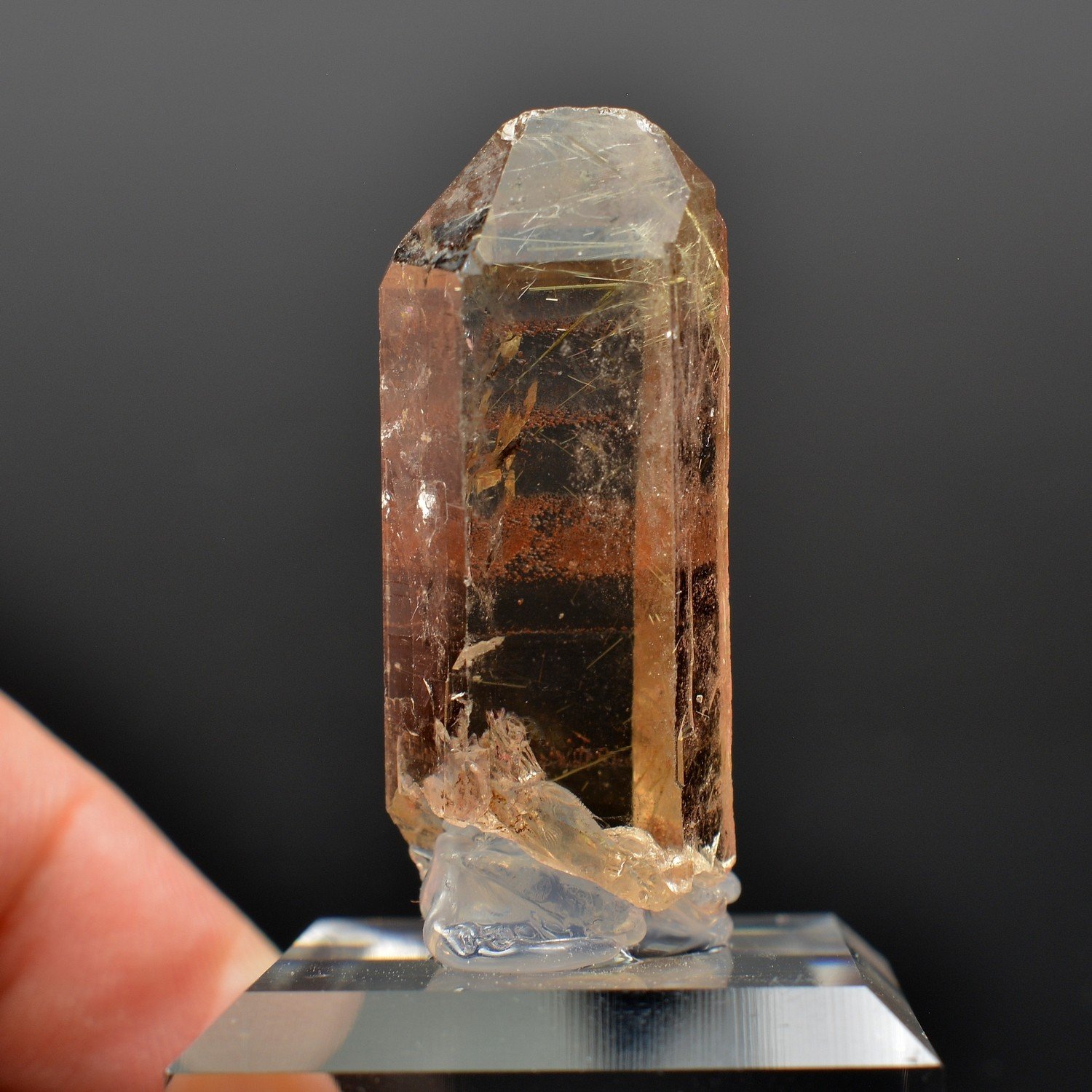 Quartz à inclusions de rutile - Novo Horizonte, Bahia, Brésil