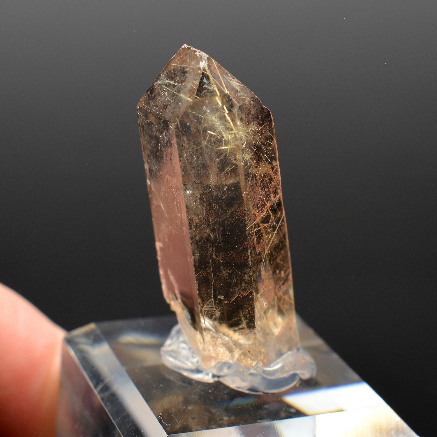 Quartz with rutile inclusions - Novo Horizonte, Bahia, Brazil