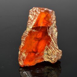 Ambre - Chevrière, Oise, France