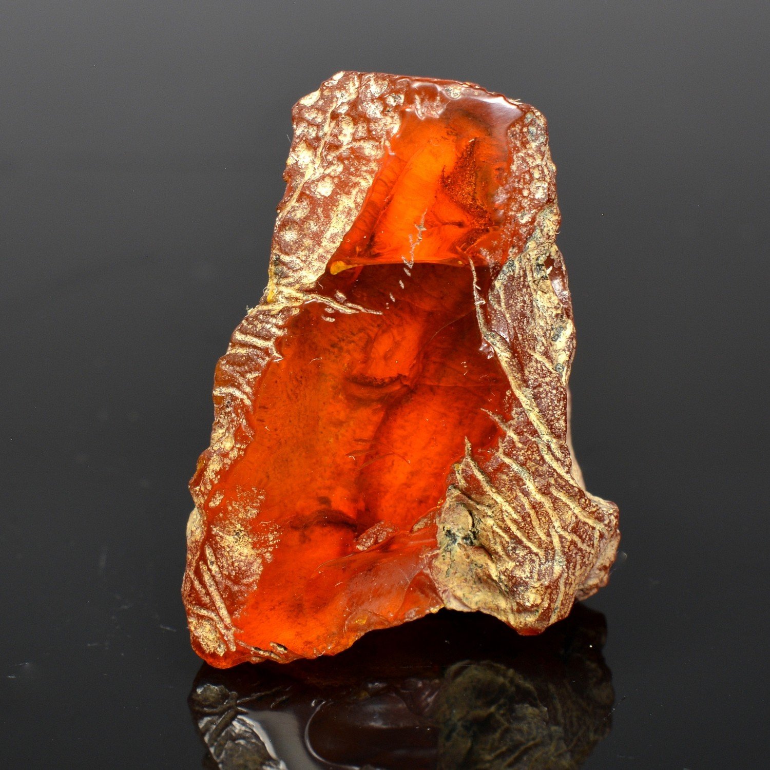 Amber - Chevrière, Oise, France Amber - Chevrière, Oise, France