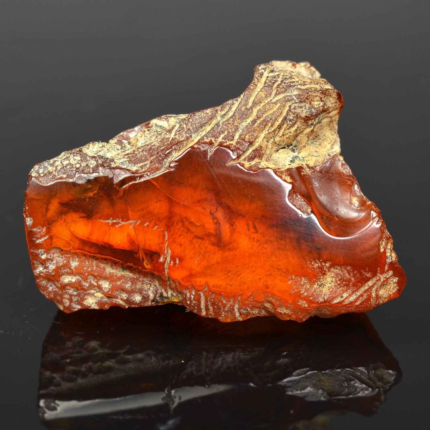 Amber - Chevrière, Oise, France Amber - Chevrière, Oise, France