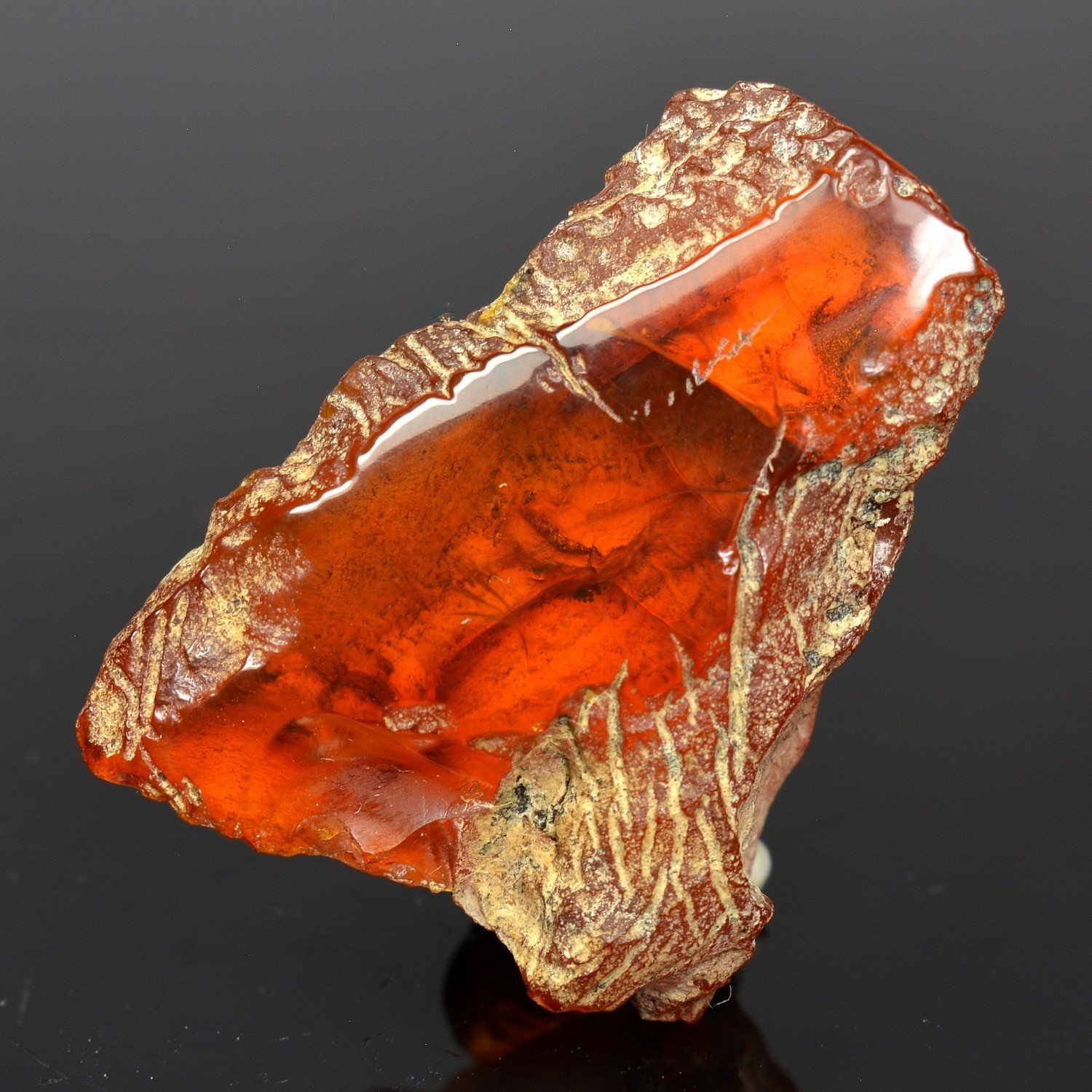 Amber - Chevrière, Oise, France Amber - Chevrière, Oise, France