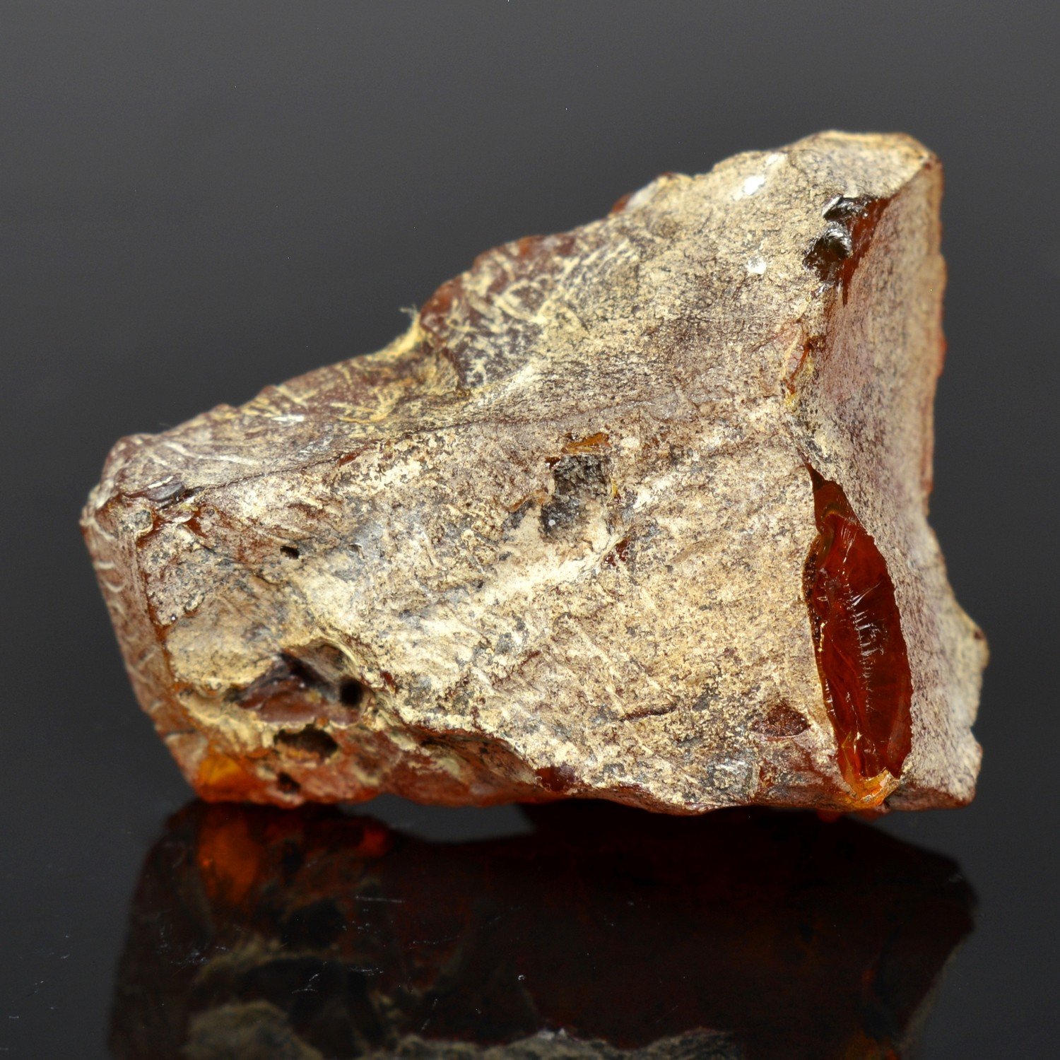 Amber - Chevrière, Oise, France Amber - Chevrière, Oise, France