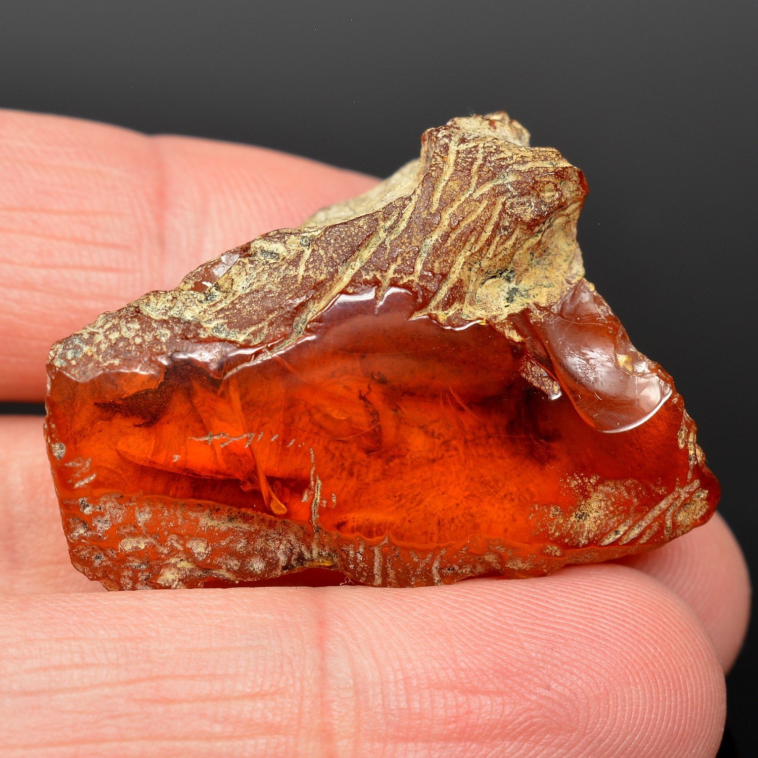 Amber - Chevrière, Oise, France Amber - Chevrière, Oise, France