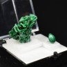 MALACHITE - DUO: cut stone and crystallised stone