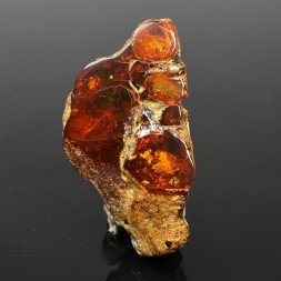 Ambre - Chevrière, Oise, France