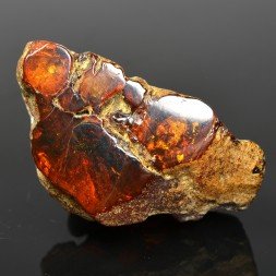 Ambre - Chevrière, Oise, France