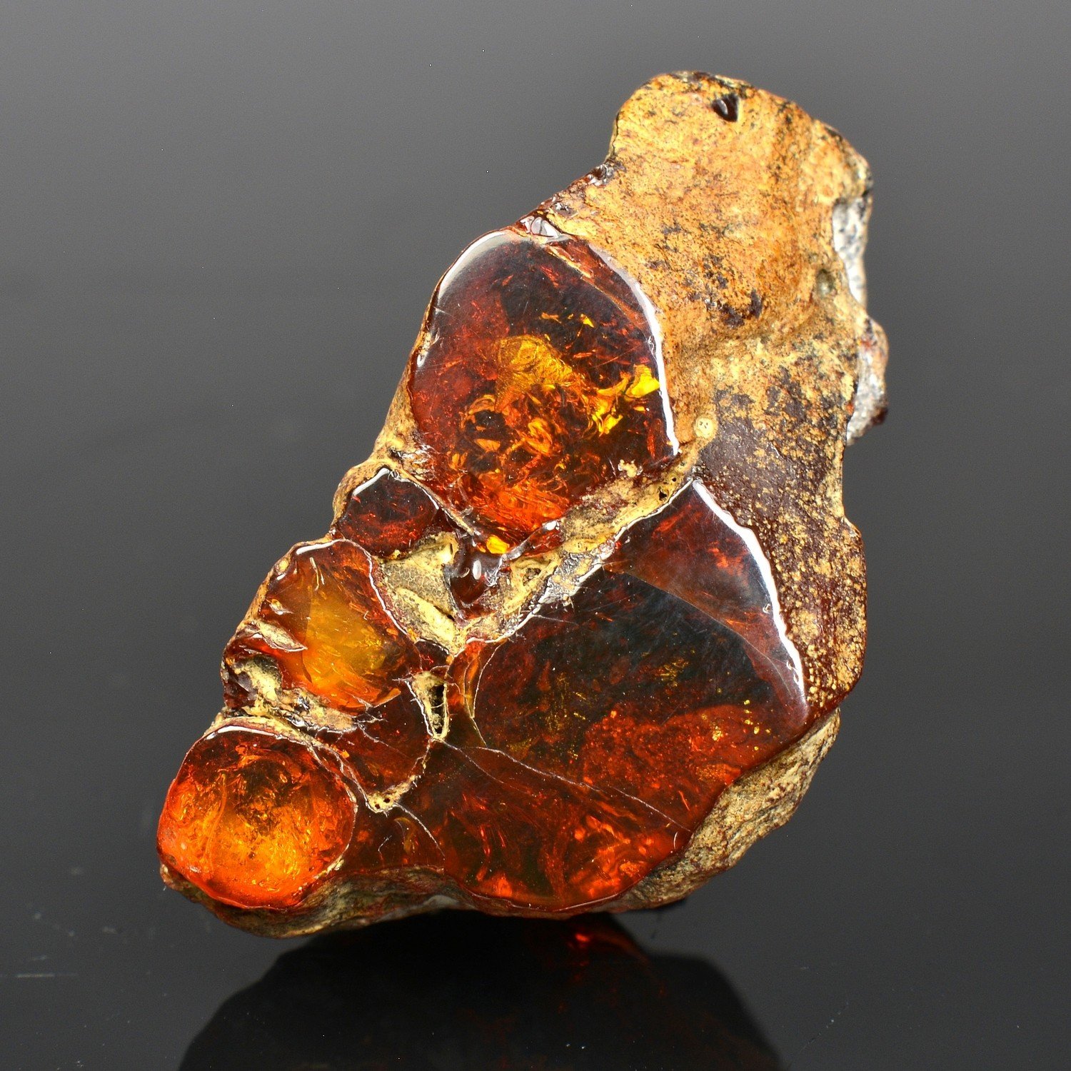 Amber - Chevrière, Oise, France