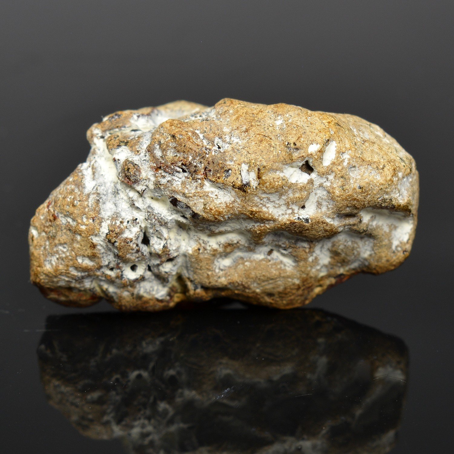 Ambre - Chevrière, Oise, France