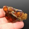 Amber - Chevrière, Oise, France