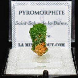 Pyromorphite - Saint-Salvy-de-la-Balme, Tarn, France