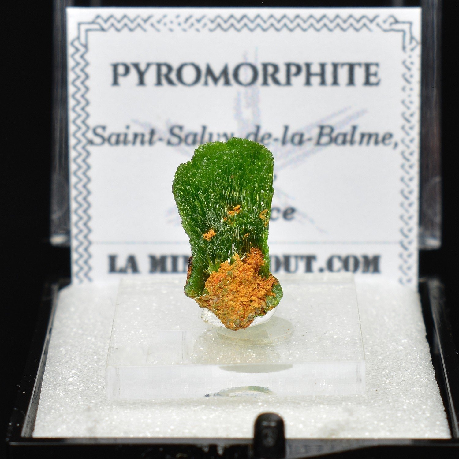 Pyromorphite - Saint-Salvy-de-la-Balme, Tarn, France