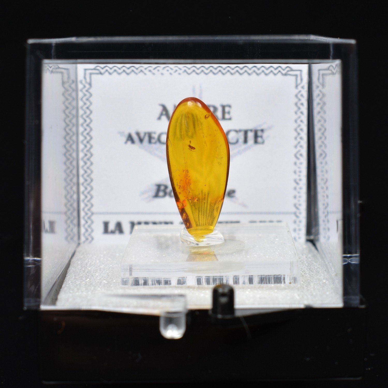 Baltic amber with insect