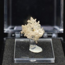 Reticular cerussite – Nakhlak Mine, Isfahan Province, Persia