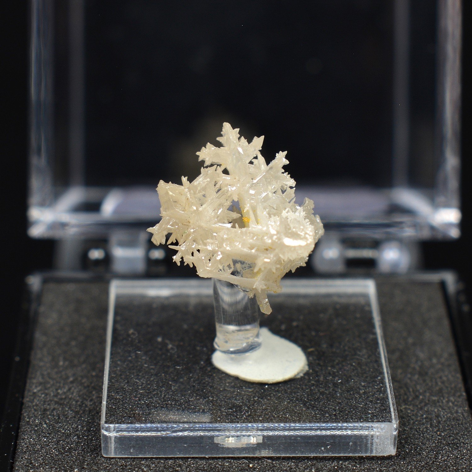 Reticular cerussite – Nakhlak Mine, Isfahan Province, Persia