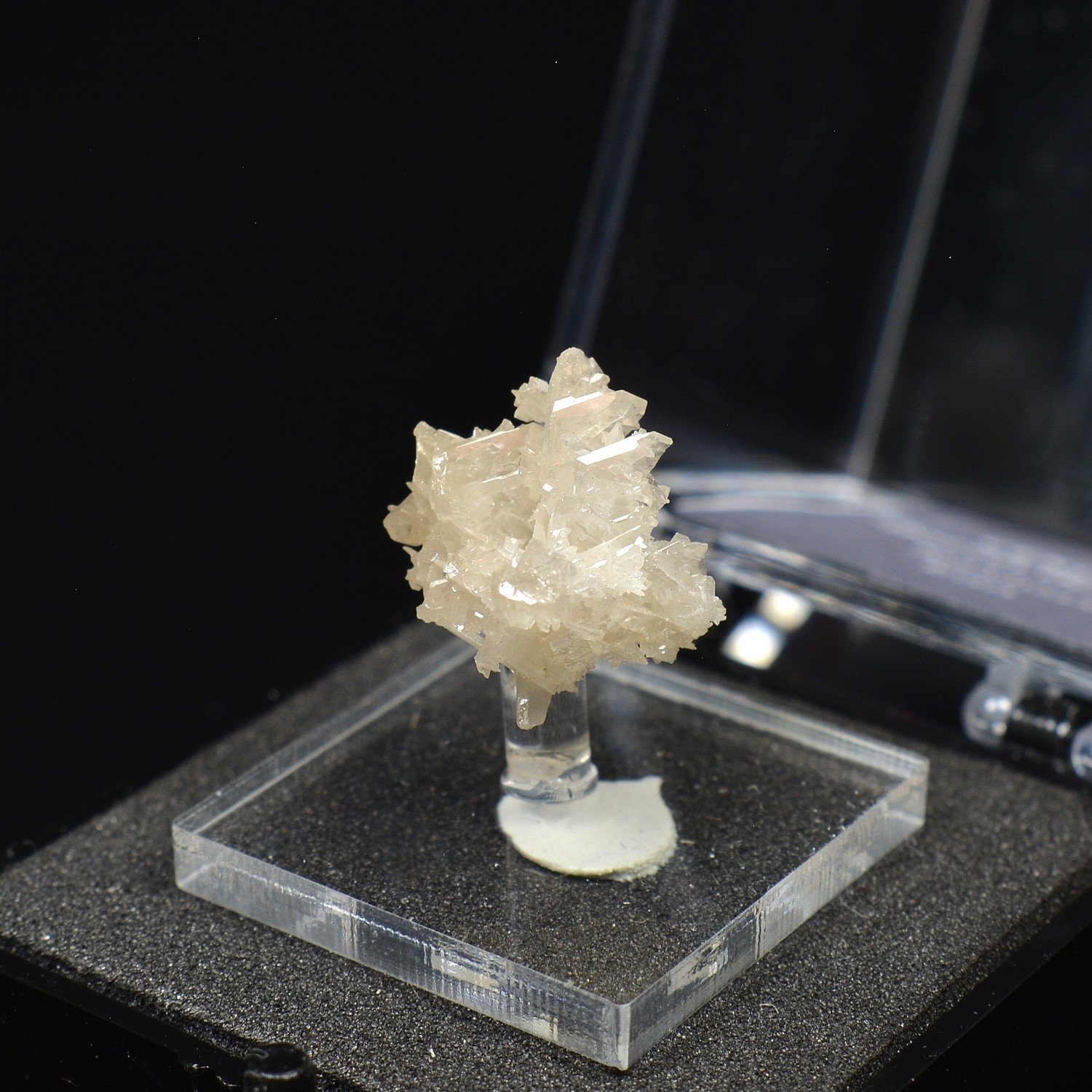 Reticular cerussite – Nakhlak Mine, Isfahan Province, Persia