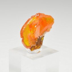 Wulfénite - Mine Erupcion, Los Lamentos, Mexique