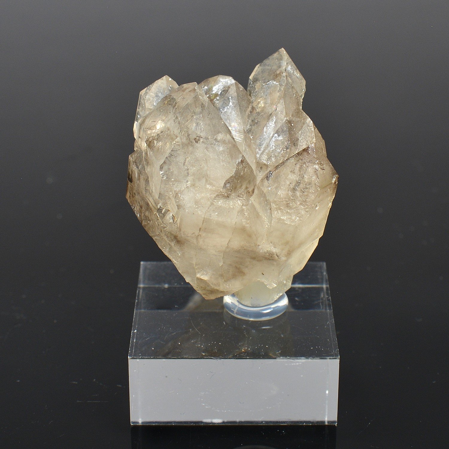 Quartz fumé - Hôpital-Camfrout, Finistère, France