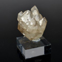 Smoky quartz - Hôpital-Camfrout, Finistère, France