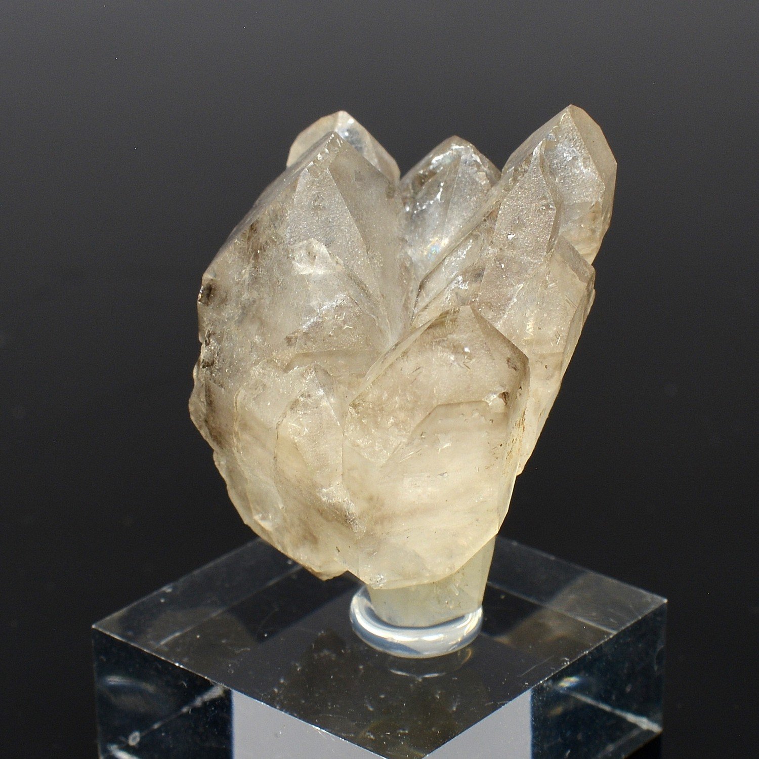 Smoky quartz - Hôpital-Camfrout, Finistère, France