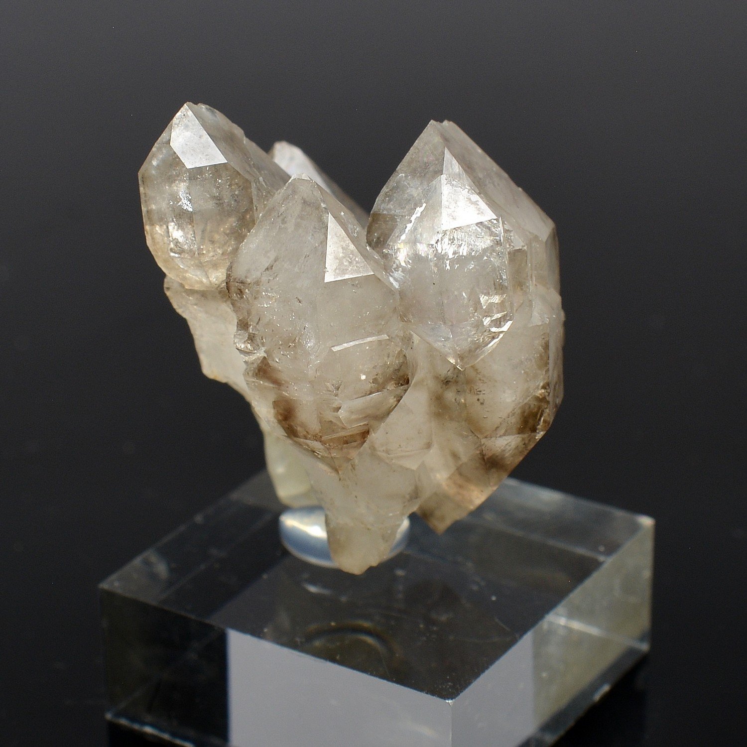 Quartz fumé - Hôpital-Camfrout, Finistère, France