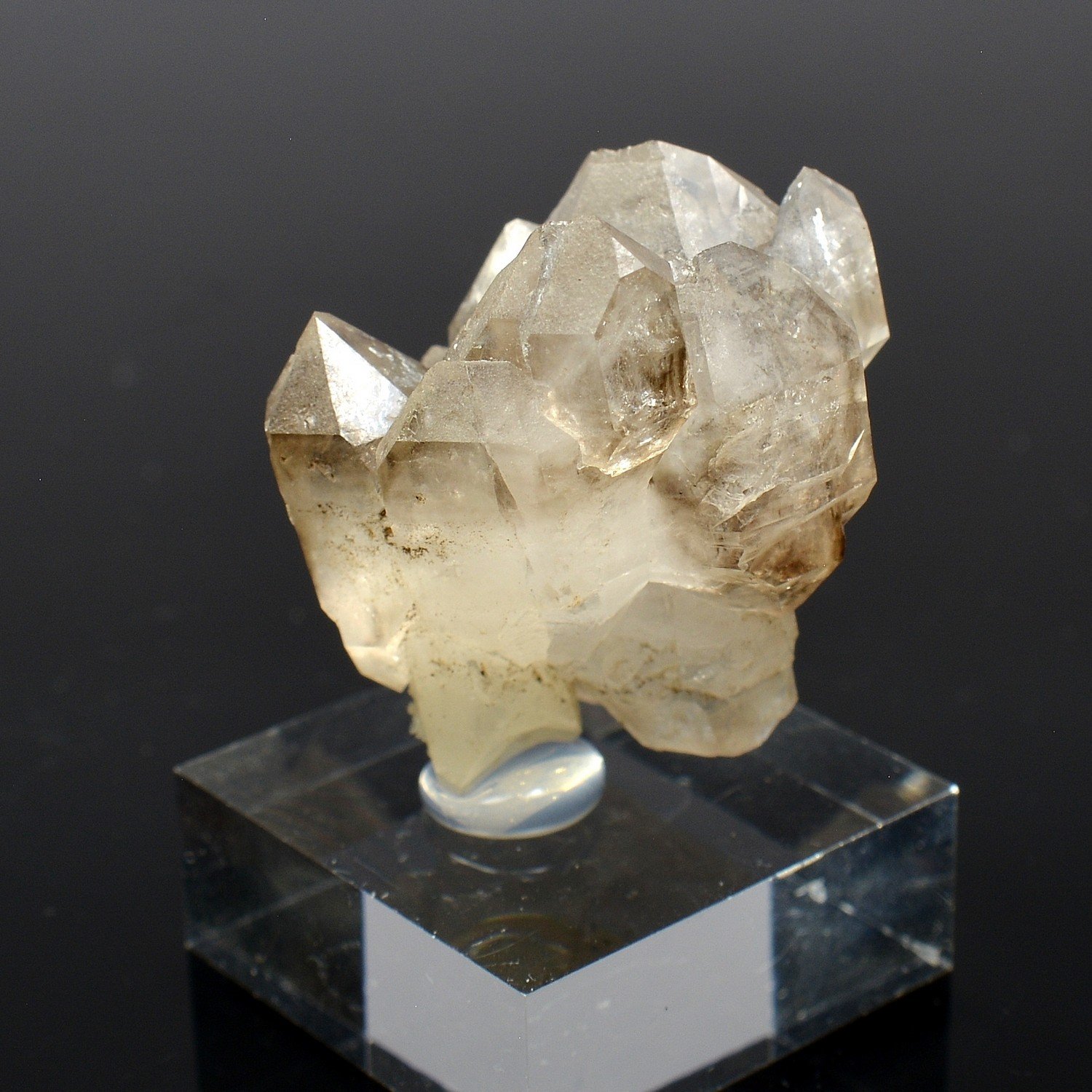 Quartz fumé - Hôpital-Camfrout, Finistère, France
