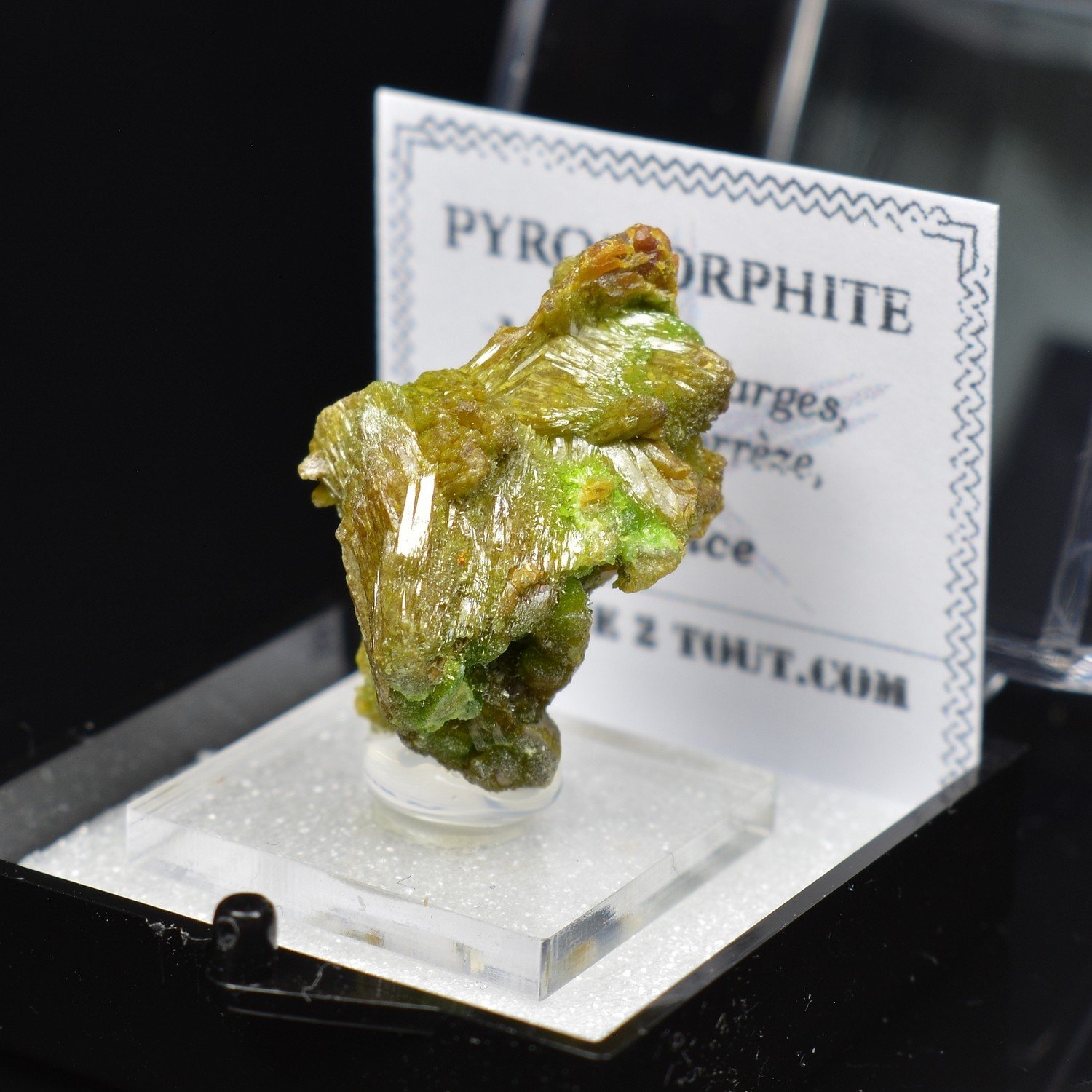 Pyromorphite - Mine des Farges, Ussel, Corrèze, France