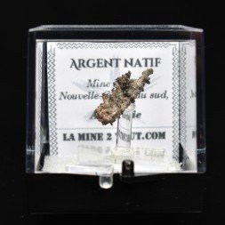Argent Natif - Mine Elura, Nouvelle-Galles du Sud, Australie