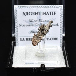 Argent Natif - Mine Elura, Nouvelle-Galles du Sud, Australie