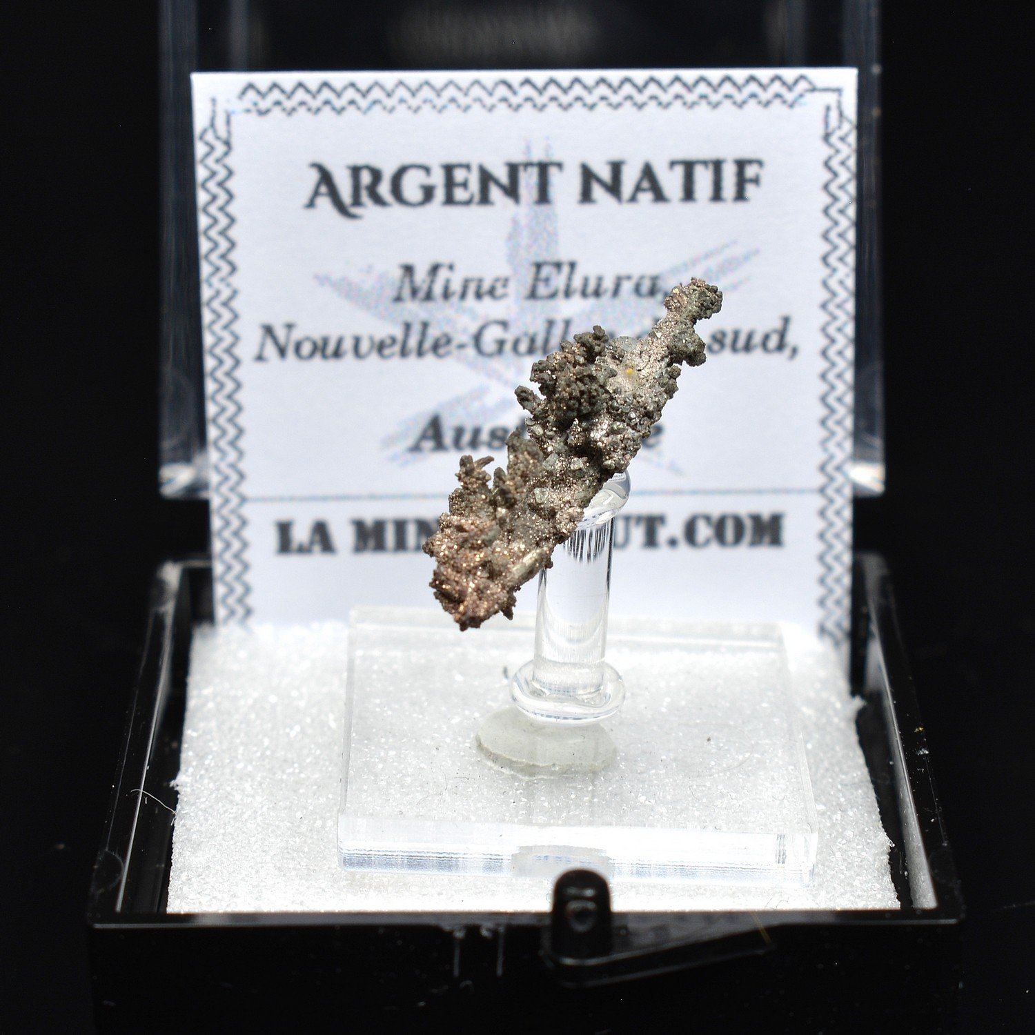 Argent Natif - Mine Elura, Nouvelle-Galles du Sud, Australie