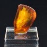 Baltic Amber with Insect