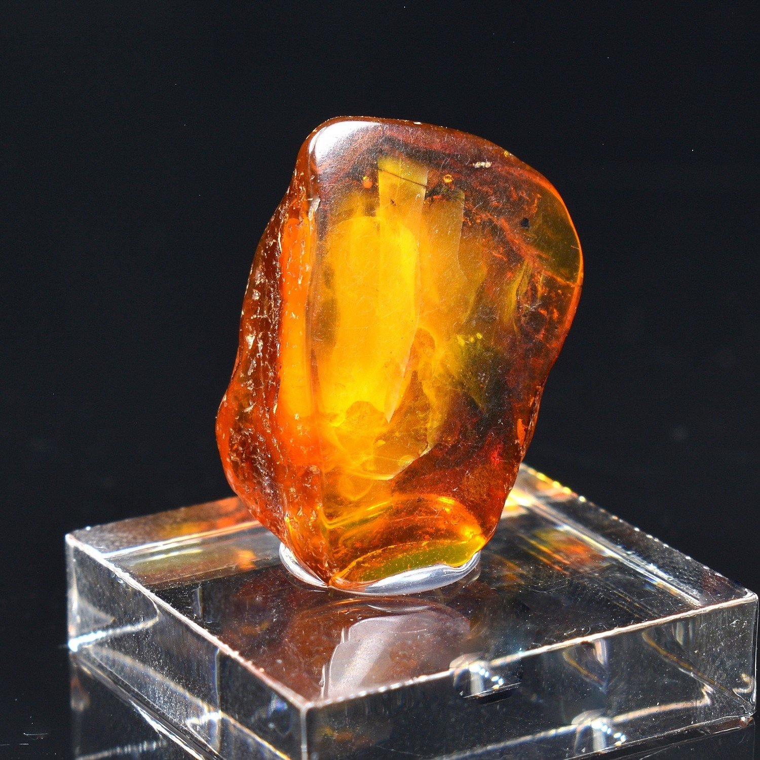 Baltic Amber with Insect